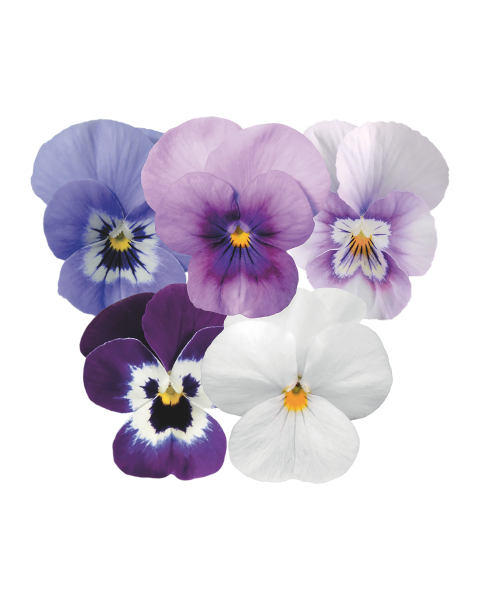 Autumn Bedding 10 Pack