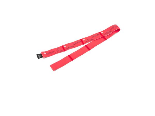 Fitness Accessories