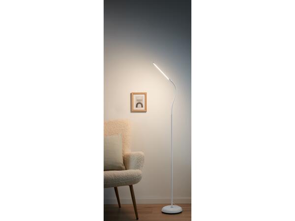 LED Floor Lamp
