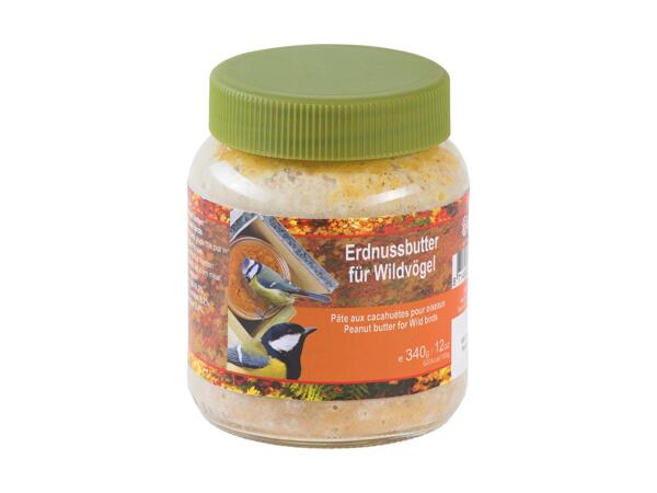 Bird Food