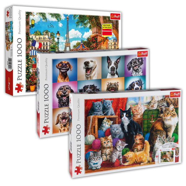 1000 Teile Puzzle