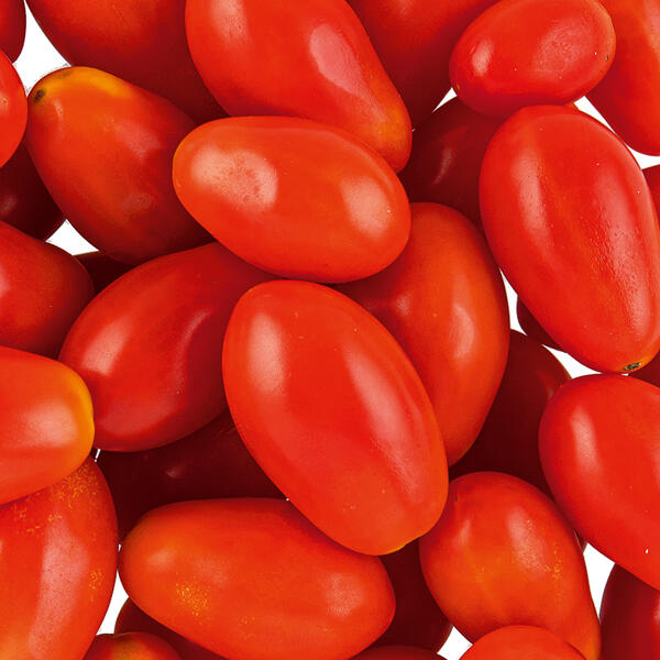 Bio-Cherry-Datteltomaten