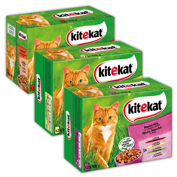 Katzennassnahrung