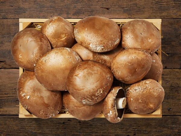 Champignons Portobello