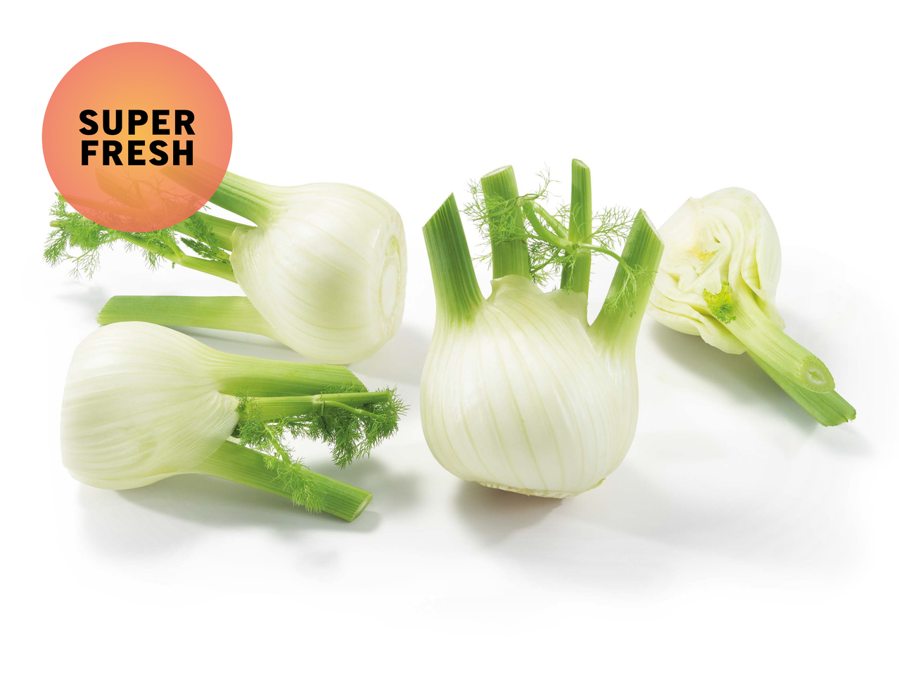 Fenchel