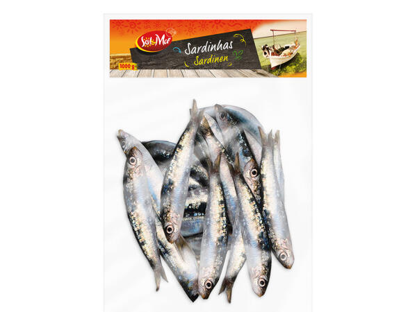 Sardinen