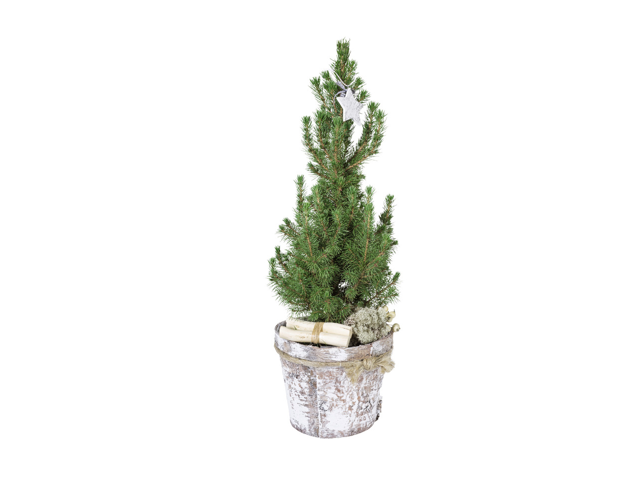 Dekoreret juletræ