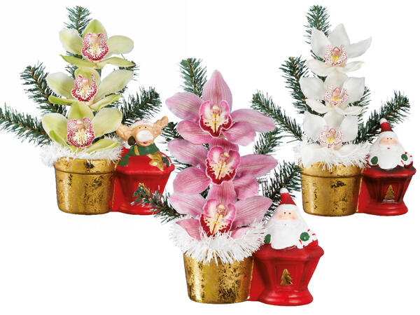 Orchideen 3er-Gesteck Weihnachten