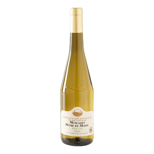 Muscadet Sèvre et Maine sur Lie AOP