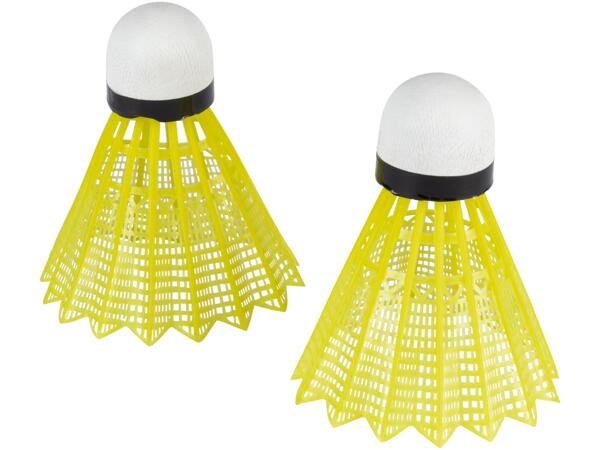 Badminton Set