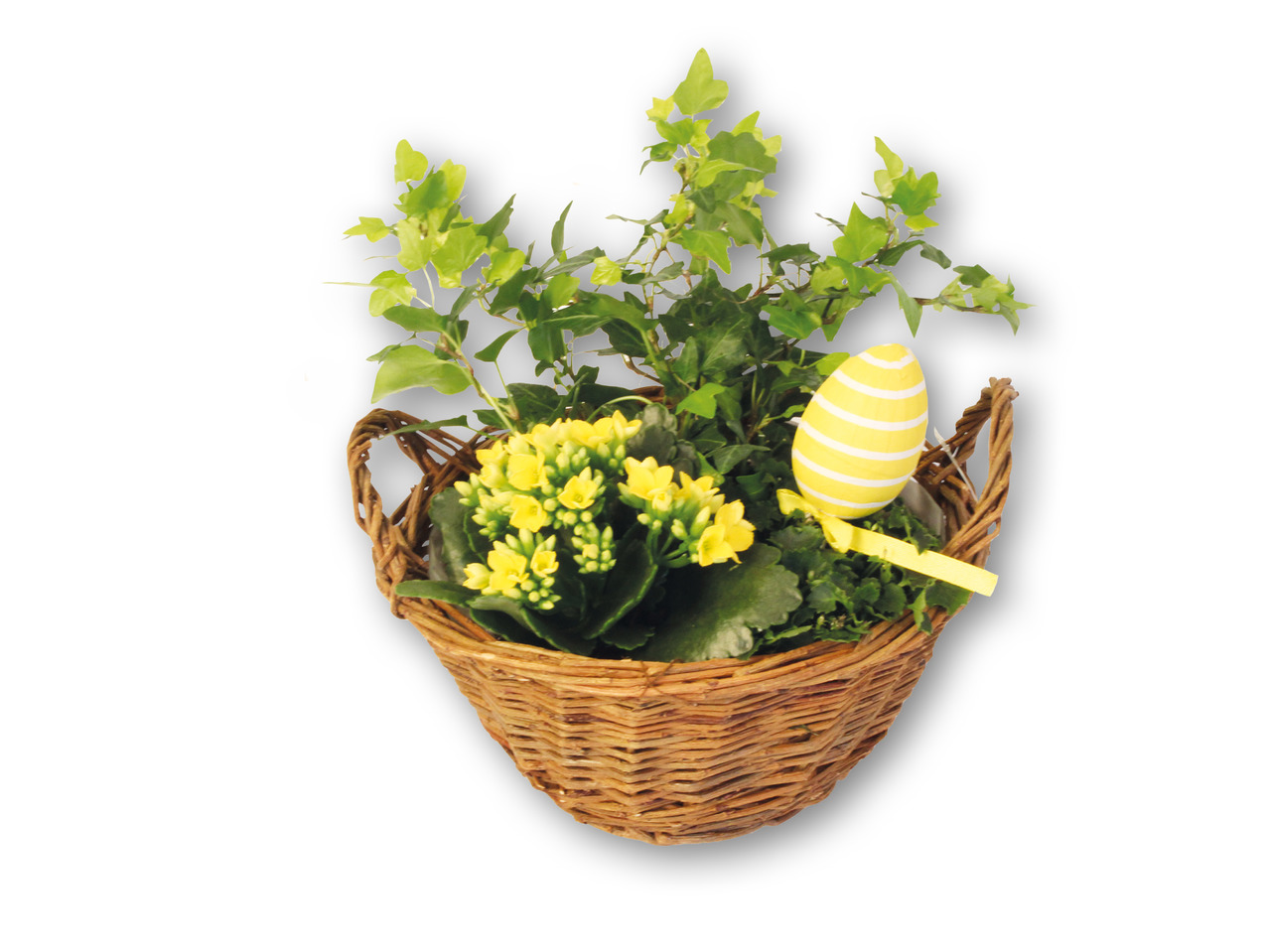 Sammenplantning i rund pilekurv