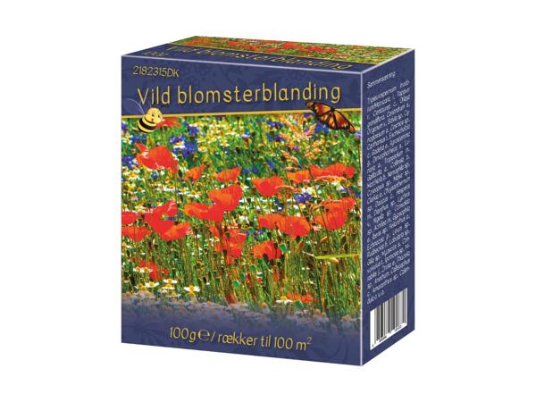 Blomsterblanding frø