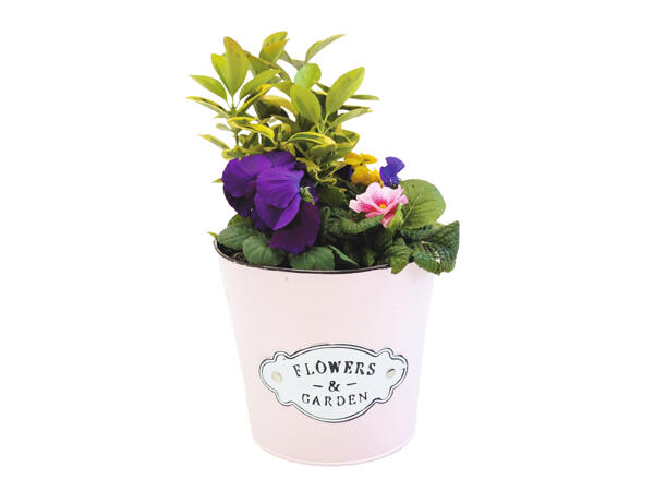 Mother's Day Pink Planter
