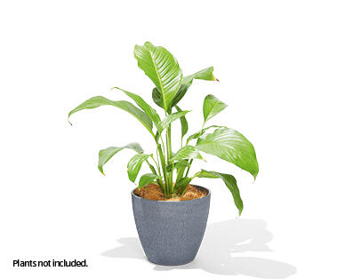 Mini Stonelite Pot 200mm