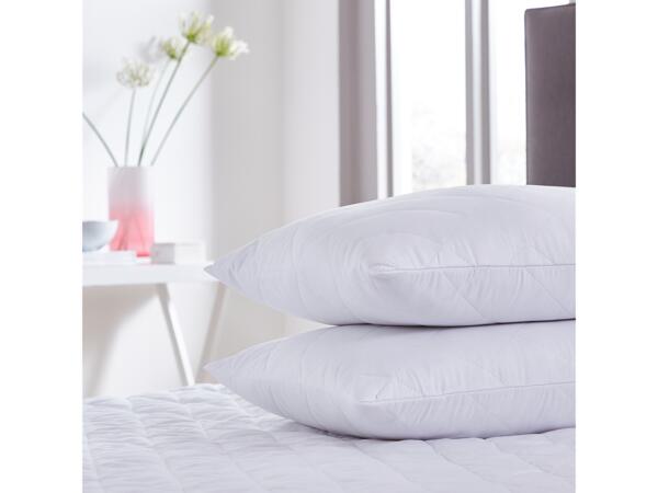 Winter Nights Pillow Protectors