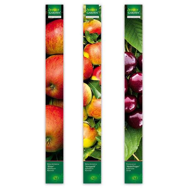 Obstbäume