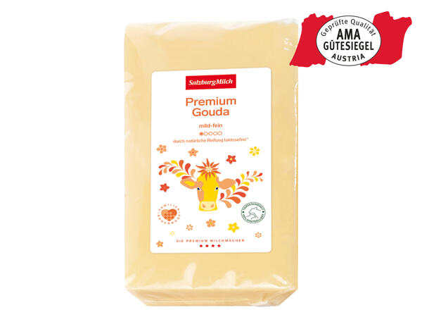 SalzburgMilch Gouda