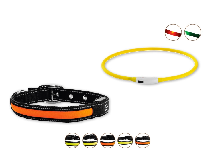 Zoofari(R) LED Dog Collar