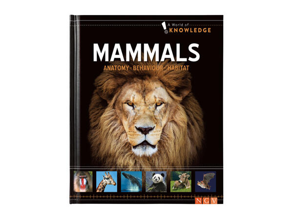 Kids' Science Book