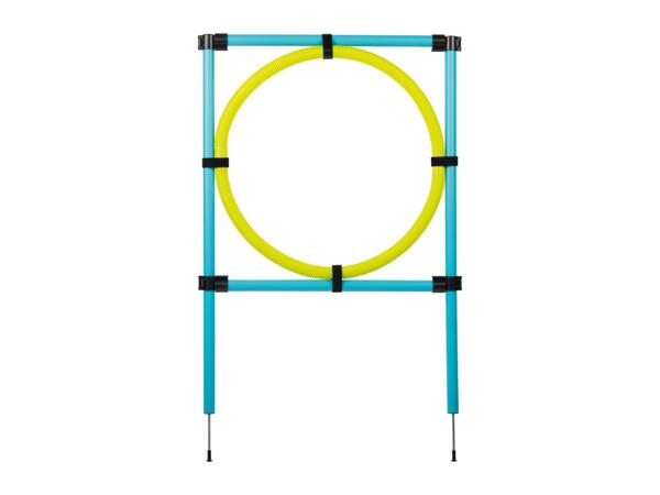 Zoofari Dog Agility Set