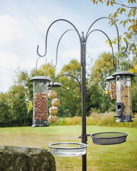 Complete Bird Feeding Station