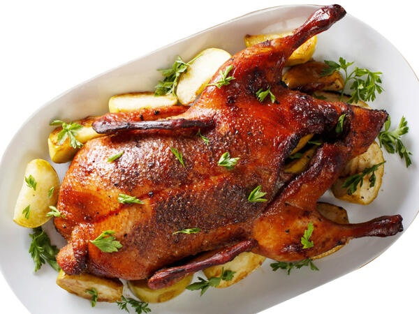 Frische ganze Gans