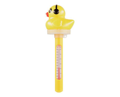 Floating Pool Thermometer