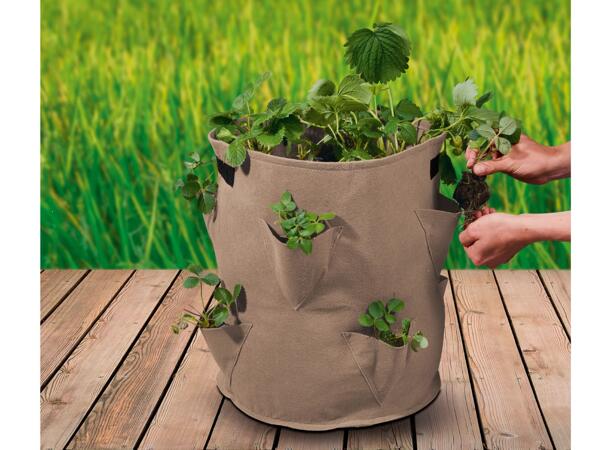 Grow Bags Set