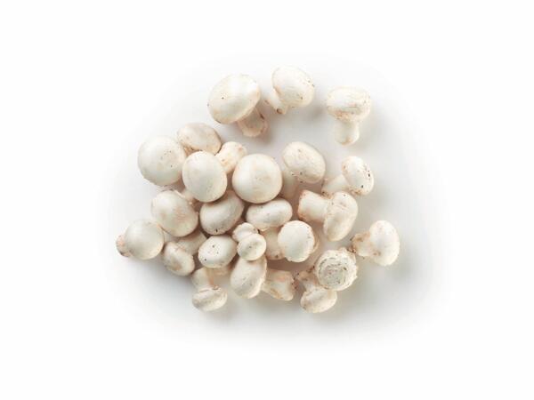 Mushrooms