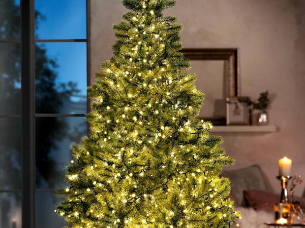 LED Fairy Lights