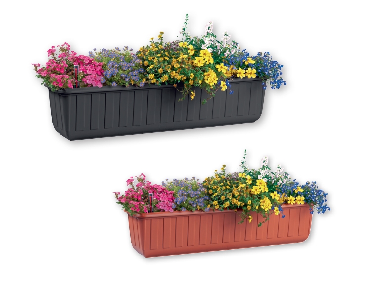 FLORABEST Flower Box 60cm/80cm