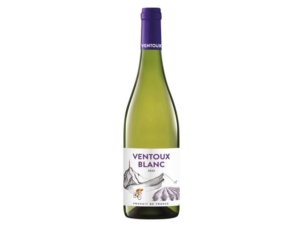 VENTOUX BLANC 2022