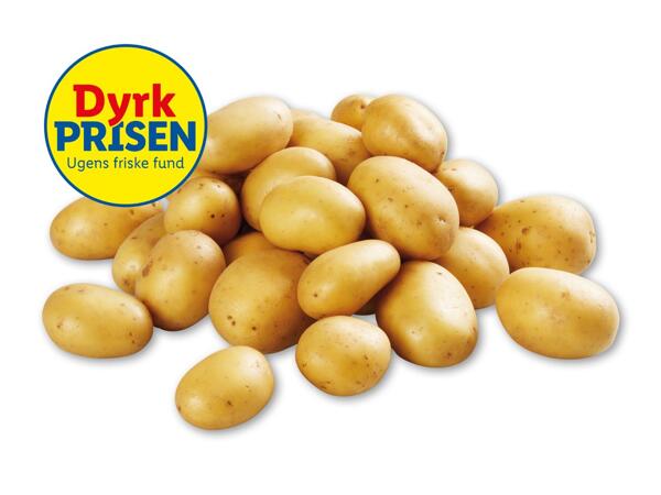 Danske vildmosekartofler