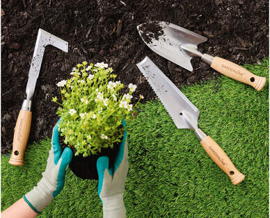 Assorted Garden Tools