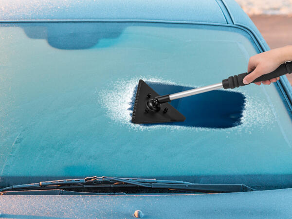 Autoscheibenreiniger