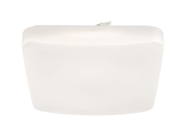 LED Ceiling Light