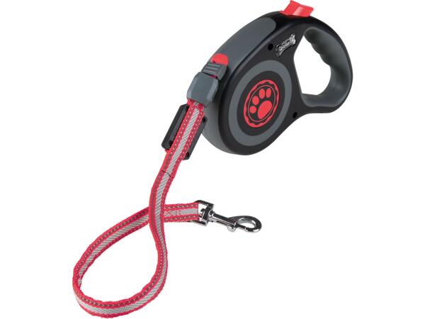 Dog Leash with LEDs