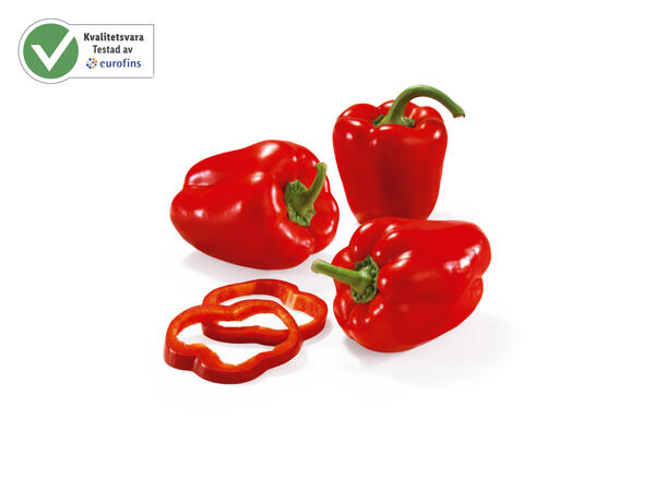 Röd paprika