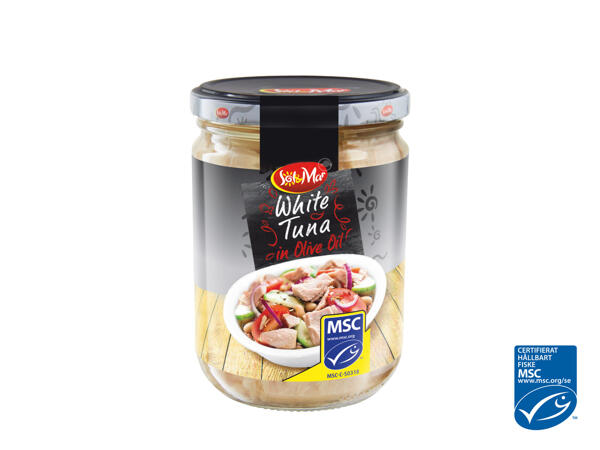 Vit tonfisk
