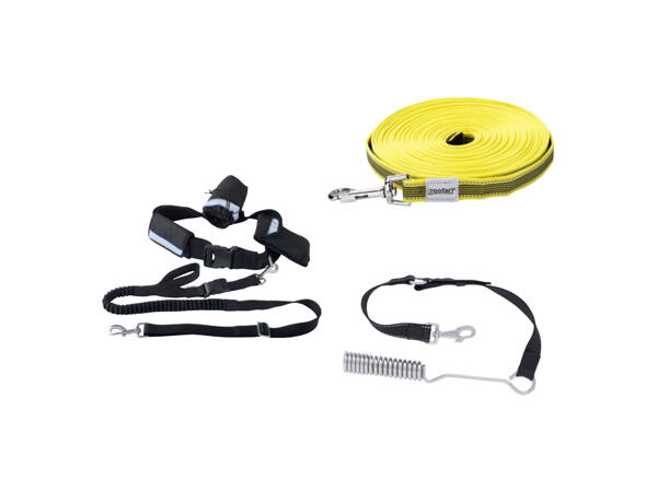 Dog Lead Assortment