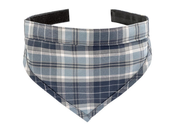 Zoofari Dog Accessories
