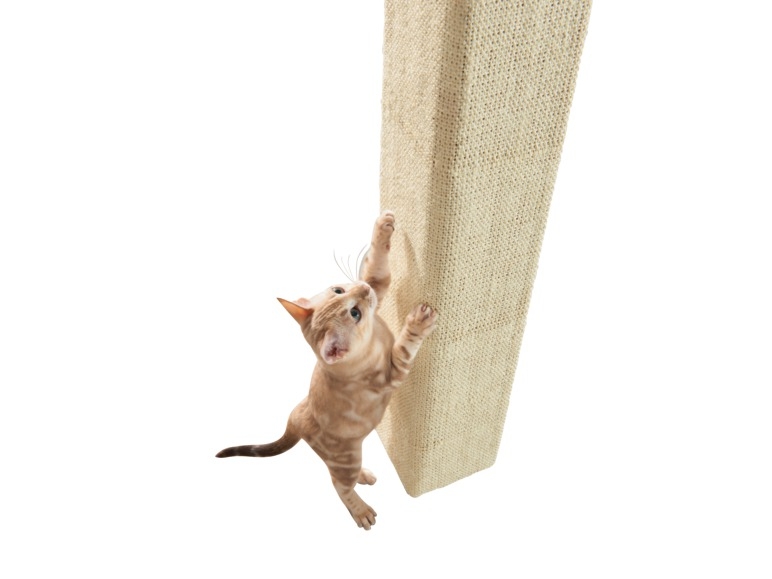 Kattenspeelgoed