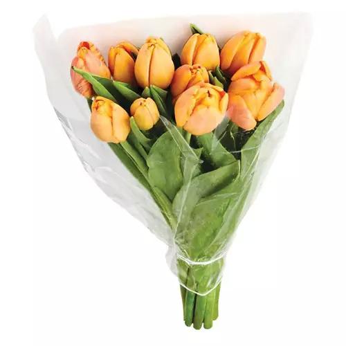 Valentine's Day 10 Stem Tulip Bouquet - Assorted Color