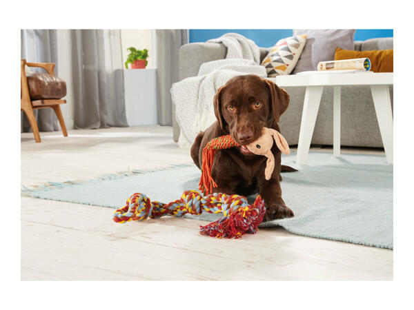 Zoofari Rope Dog Toy