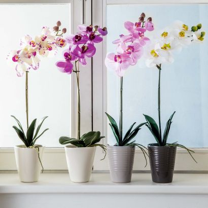 Orchidée en soie