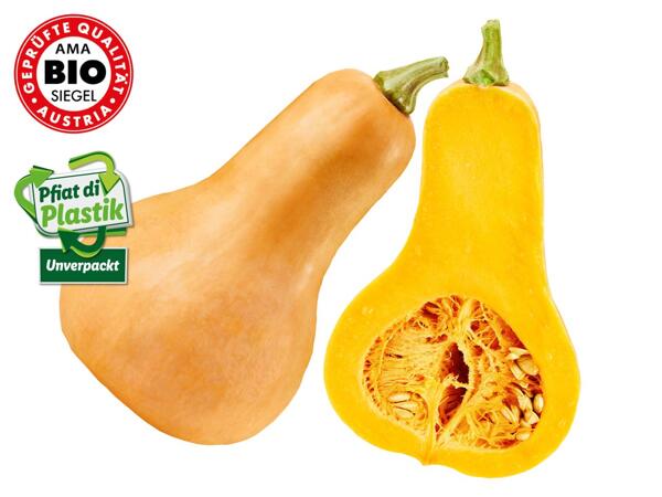 Bio Speisekürbis Butternuss aus Österreich