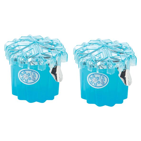 Neutralisateur d'odeur pour le réfrigérateur, 2 pcs