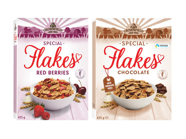 Rice and Wheat Flakes
