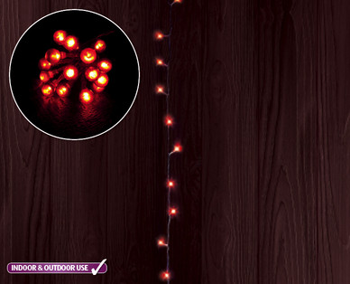 Berry Lights †