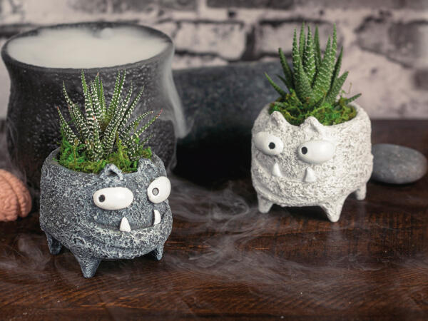 Grøn plante i Monsterkeramik